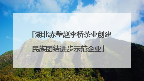 湖北赤壁赵李桥茶业创建民族团结进步示范企业